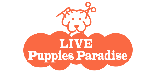 Live Puppies Paradise